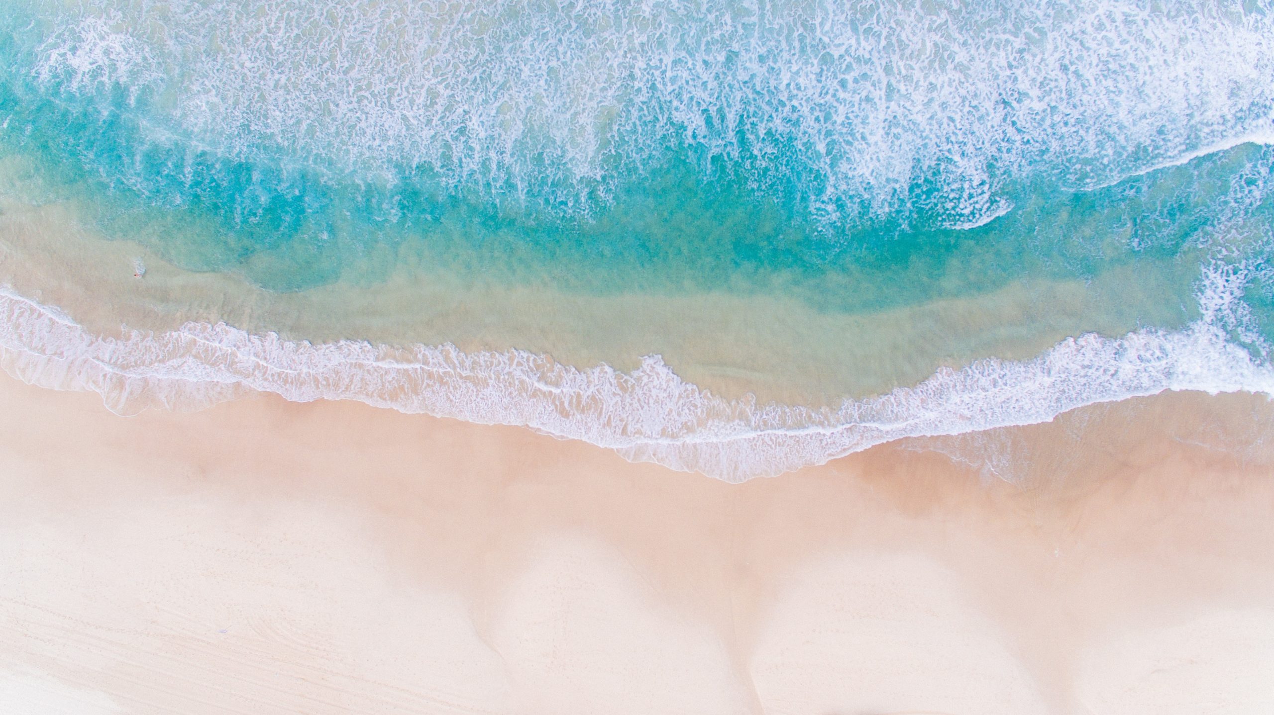 オーストラリアの美しい海を楽しむ 人気ビーチ10選 Aqua
