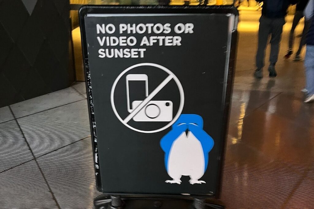 ペンギンパレード見学エリアは撮影禁止
