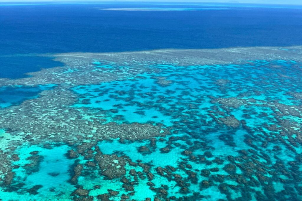 上空から見るサンゴ礁