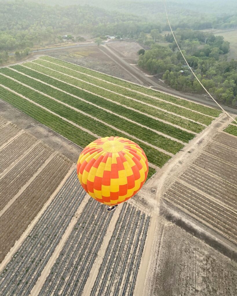 ケアンズ熱気球ツアー