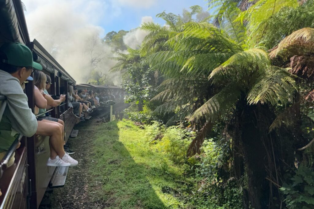 パッフィンビリー鉄道の乗車風景