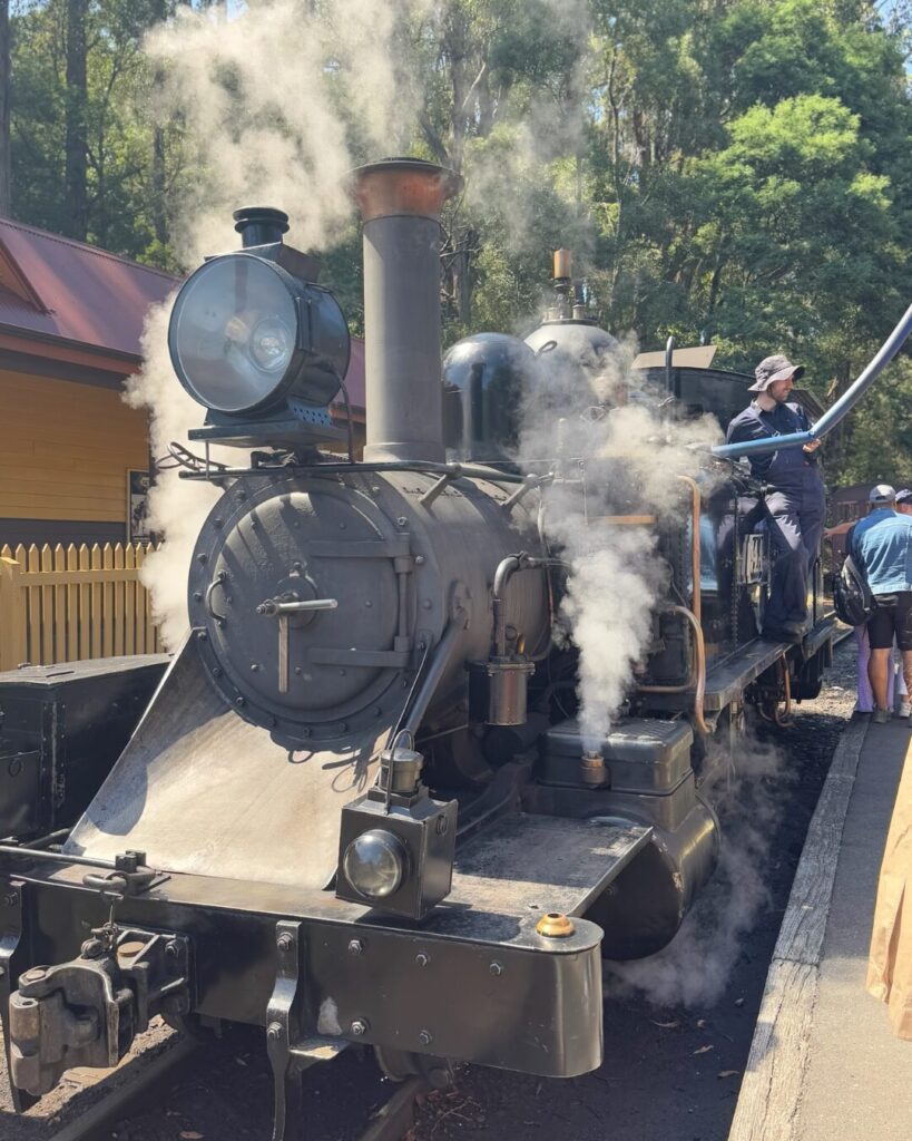 パッフィンビリー鉄道の蒸気機関車
