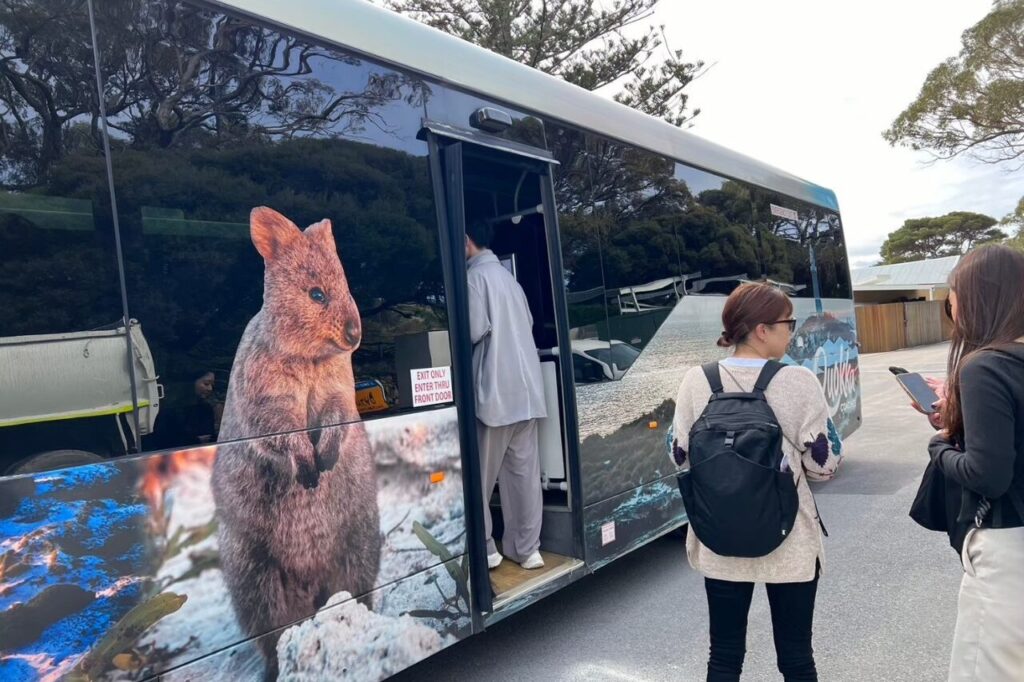 ロットネスト島バスツアー