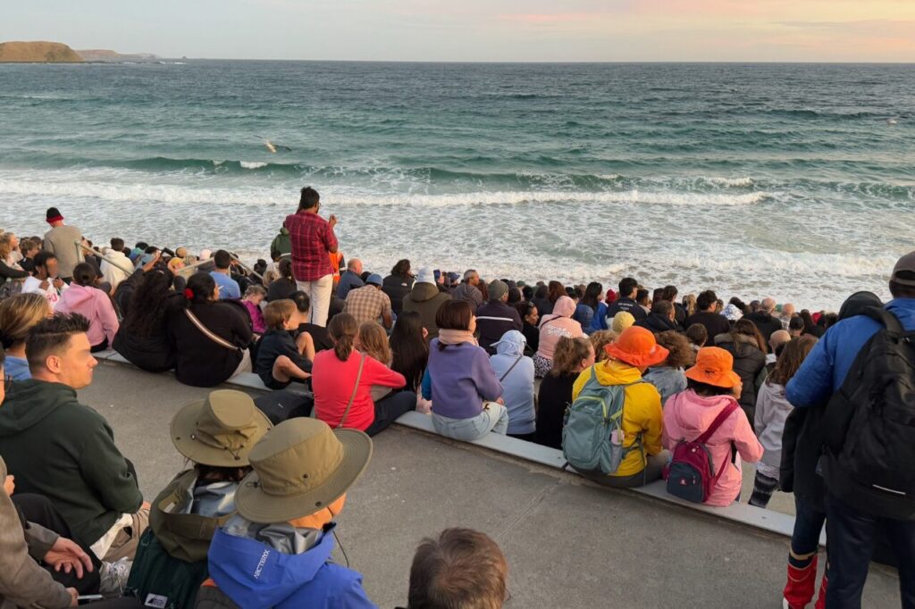 ペンギンパレードのジェネラルビューイング席