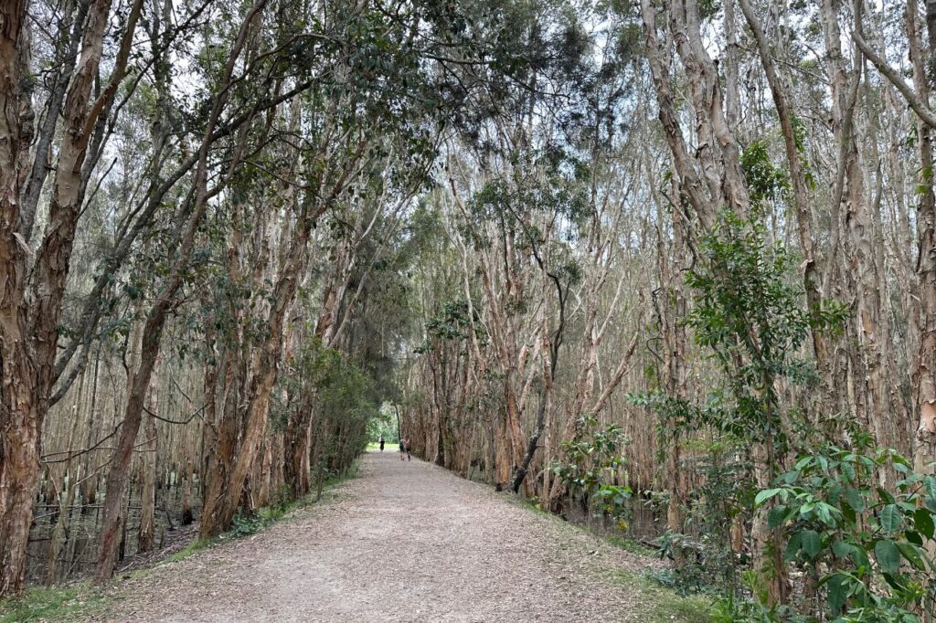 クーンババ自然保護区