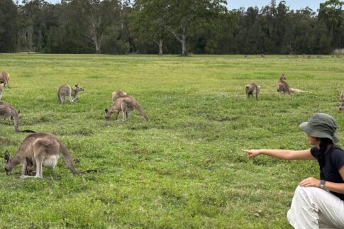 エコサファリツアー