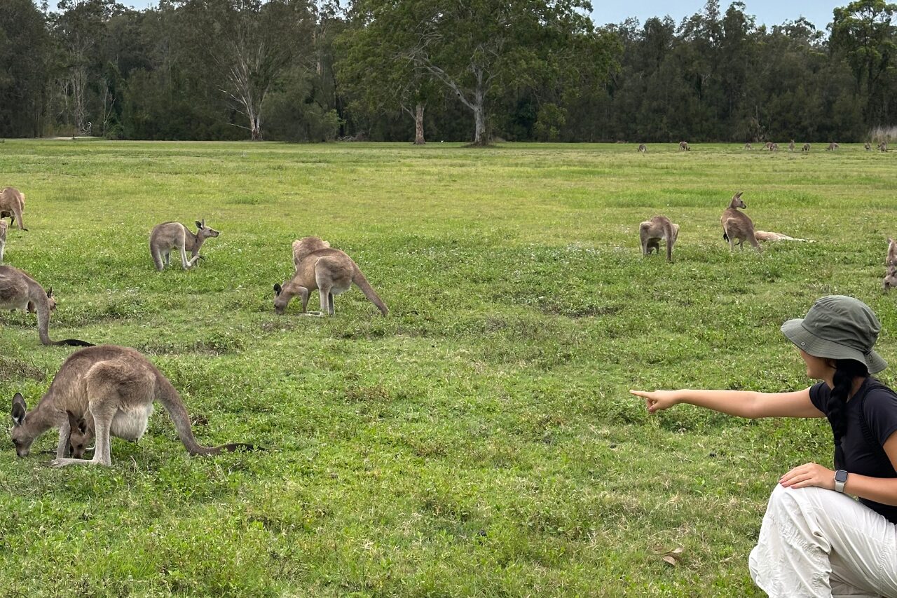 エコサファリツアー