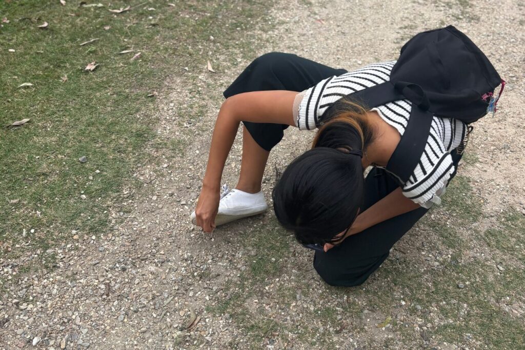 カンガルーの糞を取り除く