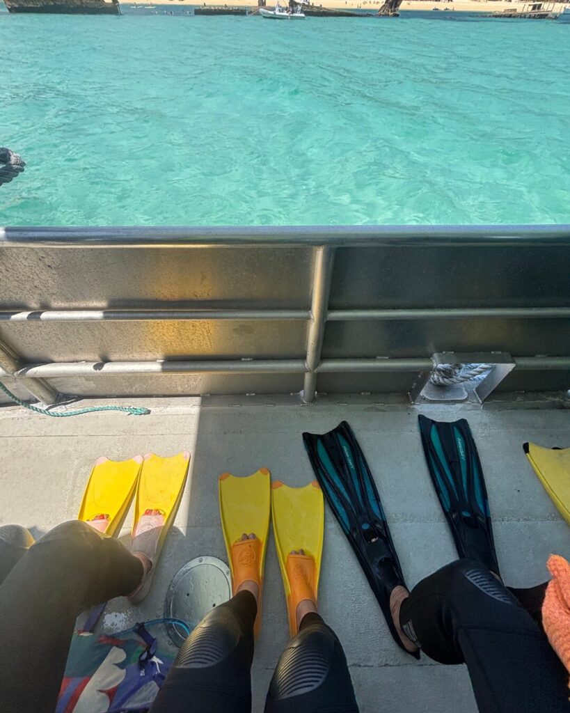 シーモートン沈船シュノーケリング