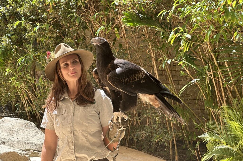 カランビン動物園のバードショー