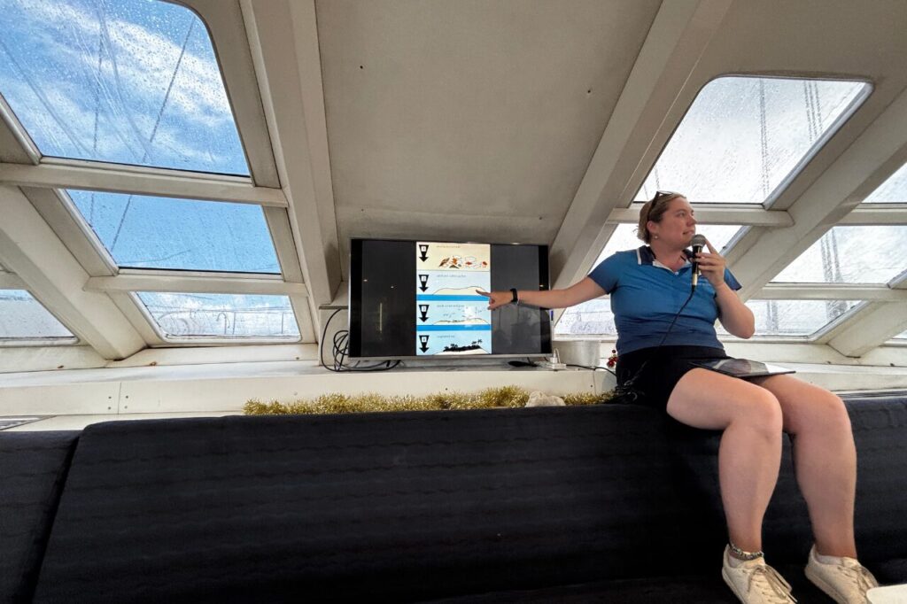 ミコマスケイのプレゼンテーション