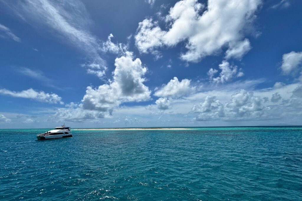 ミコマスケイ沖合