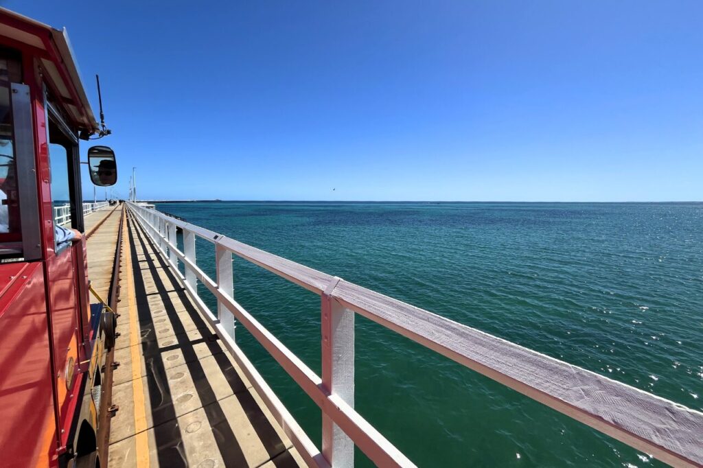 バッセルトン桟橋の観光列車からの景色