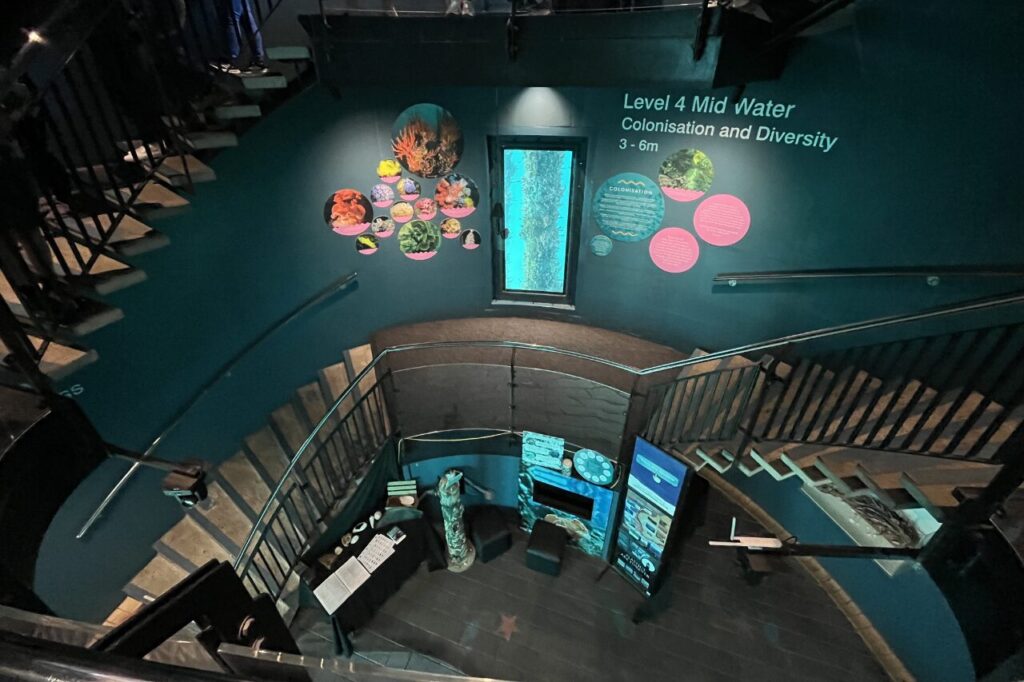 バッセルトン桟橋の水中展望台