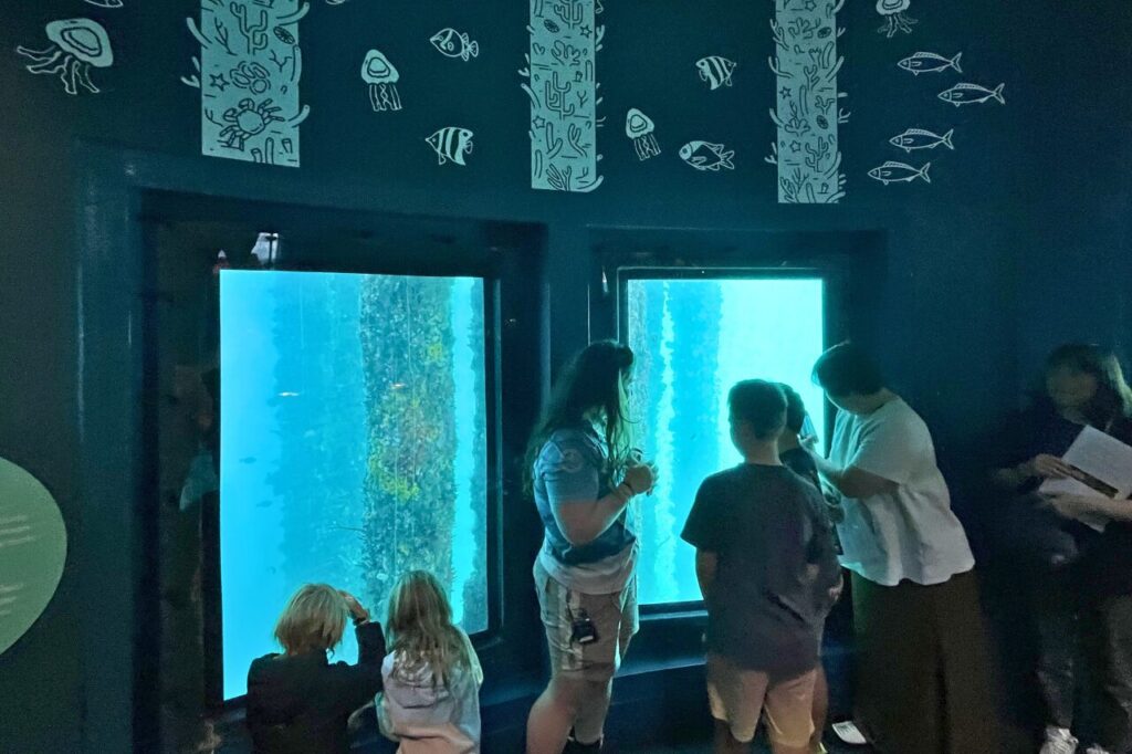 バッセルトン桟橋の水中展望台