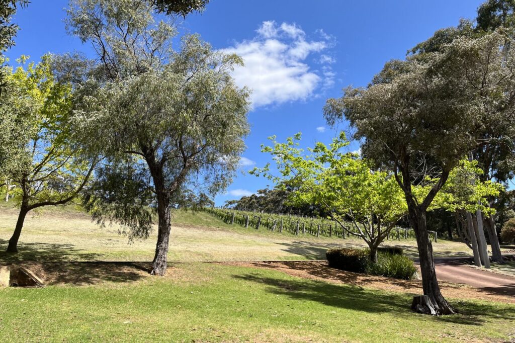 マーガレットリバーのワイナリーピエロ