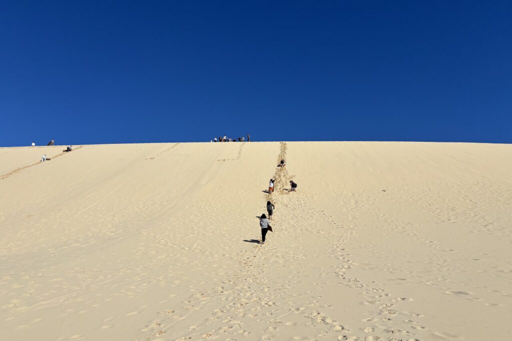 サンセットサファリツアーの砂滑り