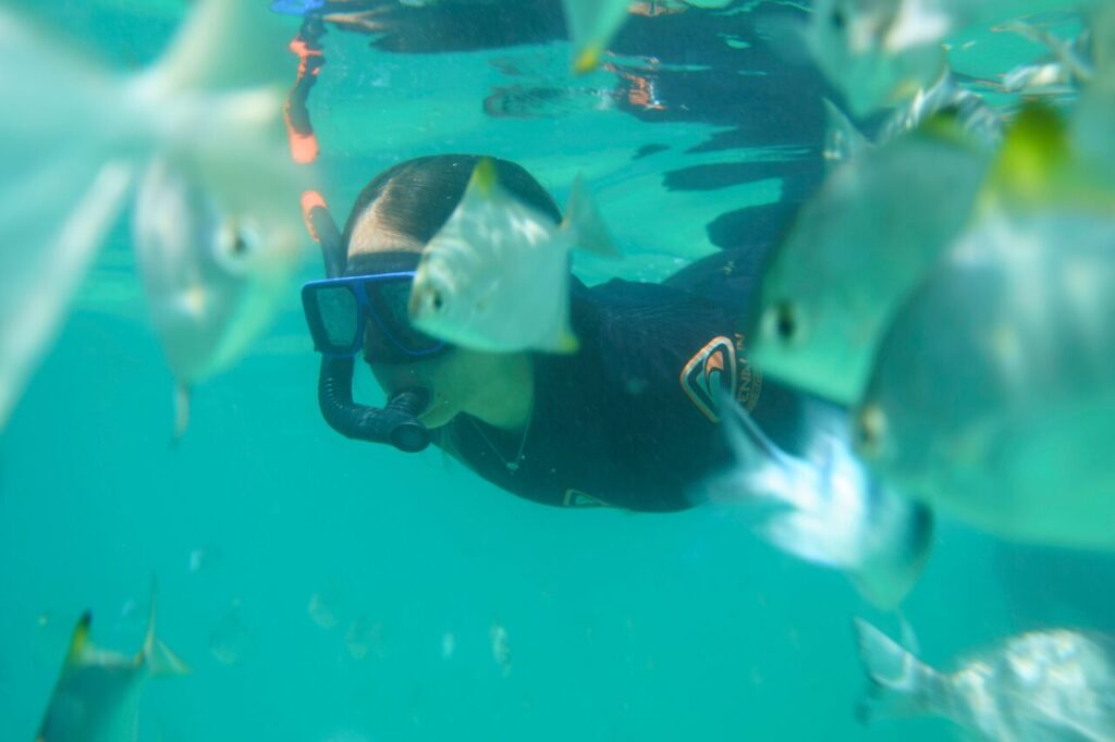 サンセットサファリツアーのシュノーケリング