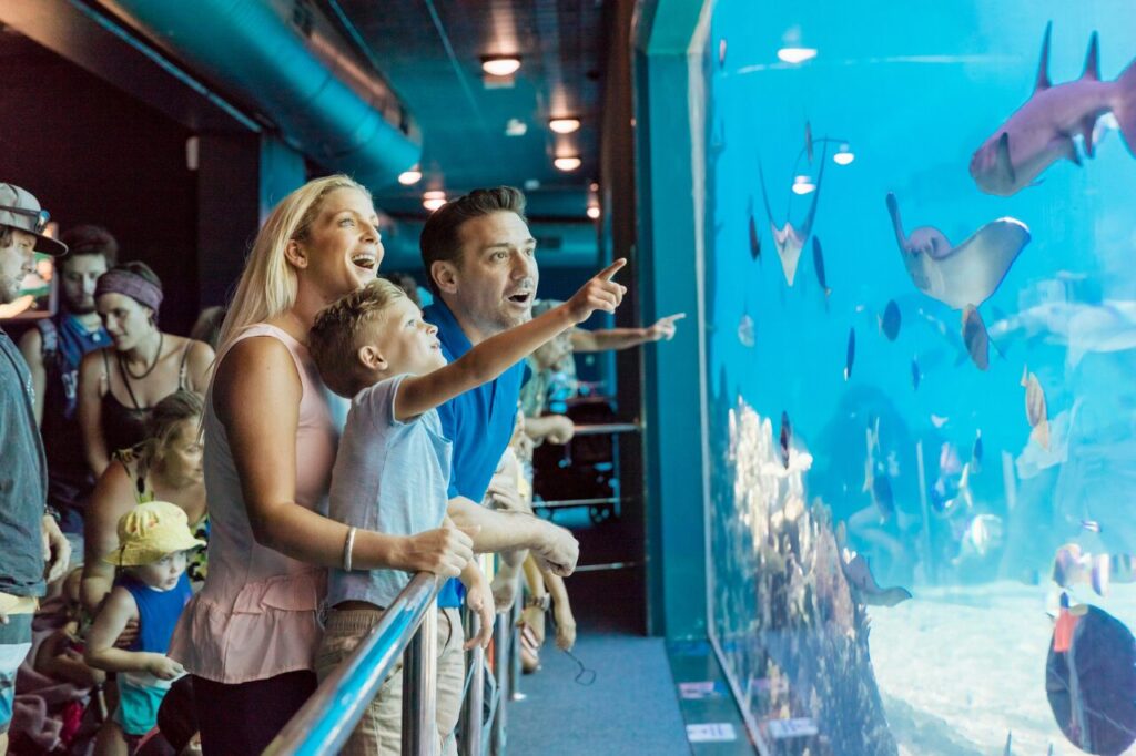 シーワールドの水族館エリア「シャークベイ」
