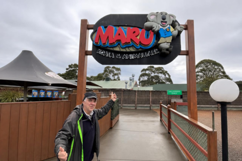 マル・コアラパーク